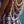 Crown Flower Pareo Sarong
