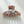 Enchanted Spell S/M - Assorted Claw Clips