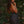 Nahele Pareo Sarong: 67 x 43 in
