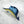 Sailfish Hair Eco-Friendly Clip Claw