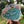 Kauai Map Sticker  - Kawaii Hawaii Island Series