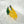 Lemon Eco Friendly Hair Clip Claw