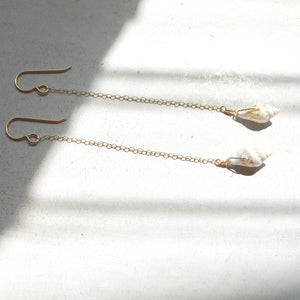 Nassa Shell Chain Earrings