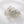 Monstera Leaf Claw Clip - Large