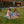 Kyoto Packable Picnic Blanket