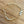 Salty Skin Sun Kissed Puka Shell Bracelets*Special Edition