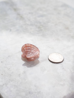 Seashell Hair Eco Friendly  Clips, Mini