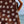 Beach Towel - Coco Tiare