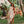 Kailua Blooms Pareo
