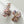 Enchanted Spell S/M - Assorted Claw Clips