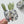 Pineapple Claw Clip - Small