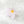 Plumeria Frangipani Hair Eco Friendly  Clip Claw, White