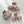 Enchanted Spell S/M - Assorted Claw Clips