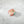 Mini Peach Reef Fish Hair Eco-Friendly  Clip Claw