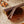 CAMP Crag Sunglasses - Grateful Dead Bears Edition