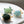 Turtle Hair Eco Friendly  Clip Claw, Large