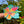 ALOHA FROM HANALEI STICKER - LARGE