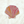 Seashells Ocean Beach Pink Embroidery Iron On Patch