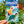 THE KAUAI STICKER PACKS