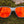 CAMP Arrowcrest Sunglasses- Crater Lake Edition