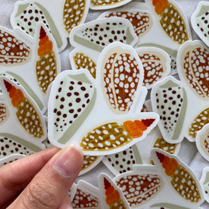 Cowrie Shell Sticker