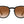 CAMP Topo Sunglasses - Grateful Dead Stealie Edition