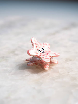 Starfish Hair Eco Friendly  Clip Claw, Mini