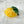 Lemon Eco Friendly Hair Clip Claw