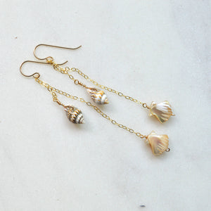 Dangling Shell Earrings