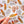 Cowrie Shell Sticker