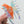 Bird of Paradise Flower Claw Clip - Medium
