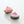 Pink Watermelon Claw Clip - Small