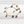 Puka Shell Chain Bracelet