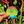 NA PALI CIRCLE STICKER - SMALL