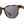 CAMP Cove Sunglasses - Matte Tortoise