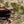 Smokey Bear x CAMP Topo Sunglasses - Clay