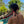 Summer Glow 3-Pack — detail