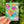 Lauren Taylor Design Magnets