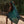 Kalo Pareo - Green: 67 x 43 in