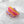 Sunset Hibiscus Hair Eco Friendly Clip Claw - Large