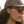 CAMP Topo Sunglasses - Matte Tortoise