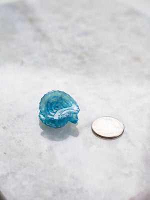 Seashell Hair Eco Friendly  Clips, Mini