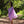 Purple Anthurium Organic Cotton Pareo