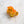 Seahorse Hair Clip Eco-Friendly Claw, Mini