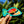 KAUAI HUMU HUMU TEAL STICKER - LARGE