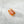 Mini Sunset Reef Fish Eco Friendly  Hair Clip Claw