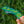 HAWAII ISLAND CHAIN STICKER - LARGE