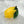 Lemon Eco Friendly Hair Clip Claw