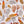 Cowrie Shell Sticker