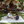 Hau Oversized Beach Blanket